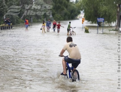 Sănătoşi şi în vremea potopului