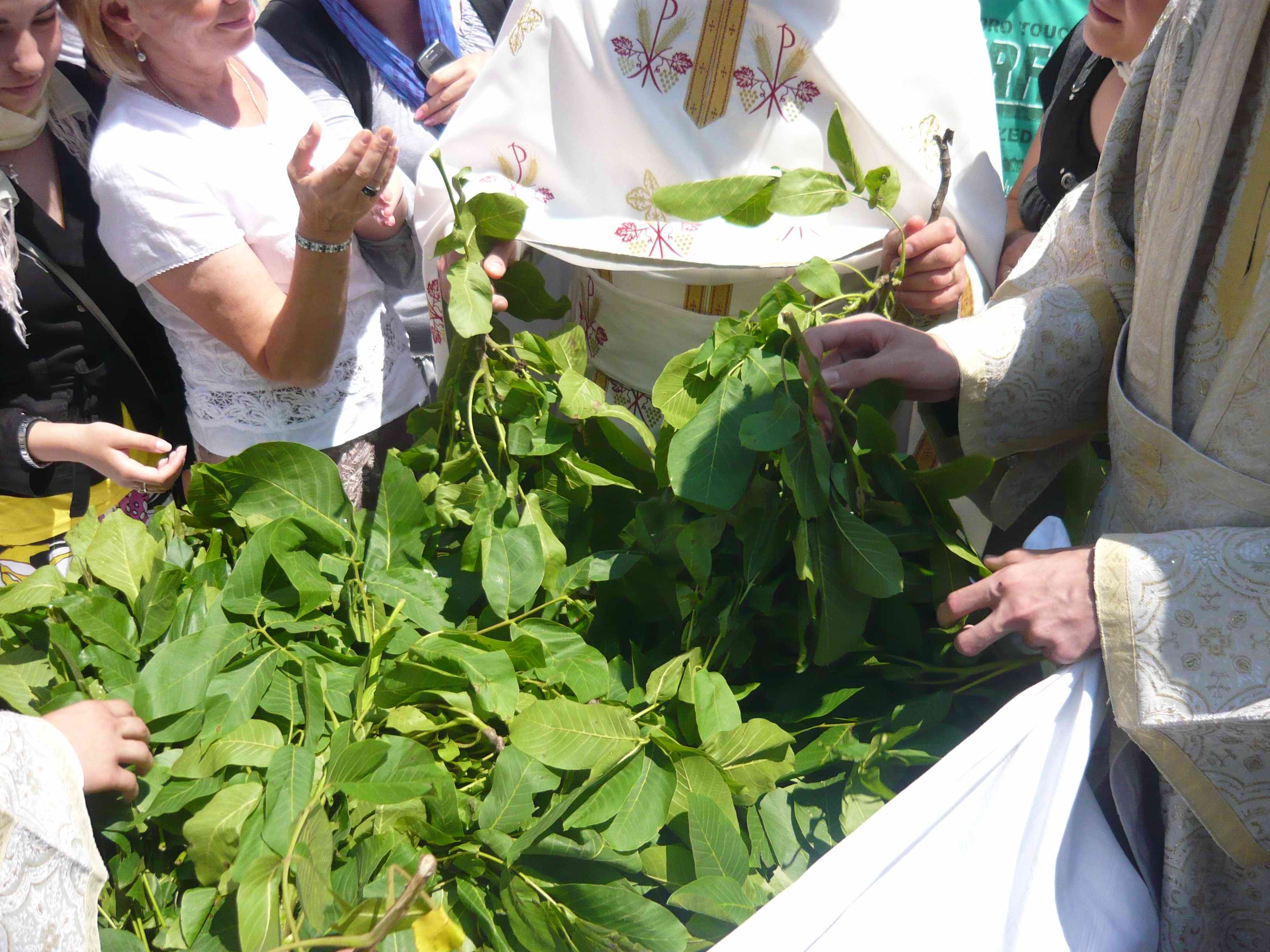 Cinzecimea versus Drăgaica: Creştinii primesc frunze de nuc sfinţite