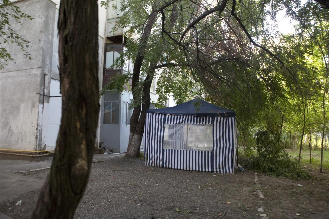 Micro 39 - Copacii mor într-o rână 