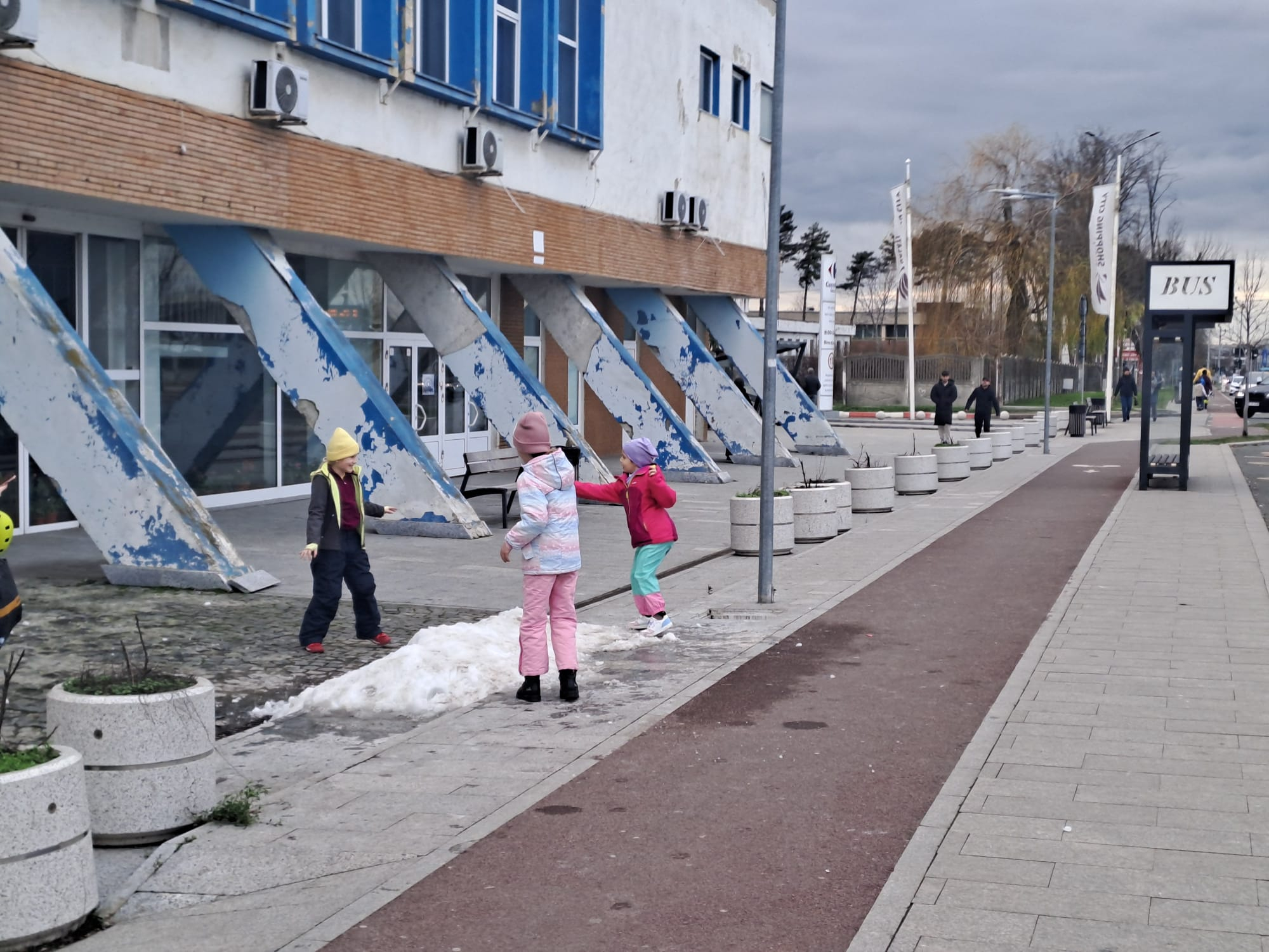 Poza zilei. Unde sunt zăpezile de altădată?