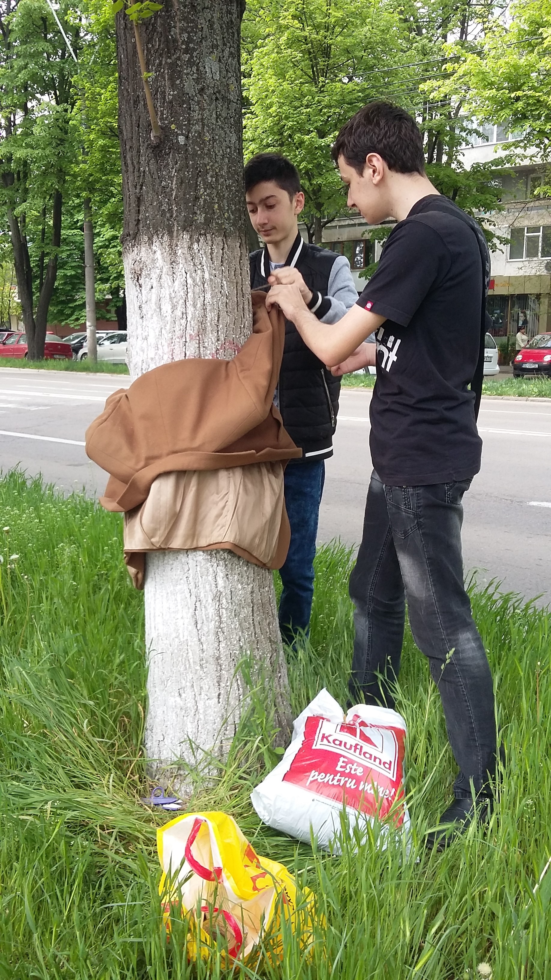 ȘCOALA ALTFEL la Colegiul Economic. DARURI legate în copaci