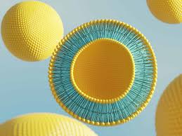 Tehnologia lipozomală: absorbție rapidă și eficientă a suplimentelor