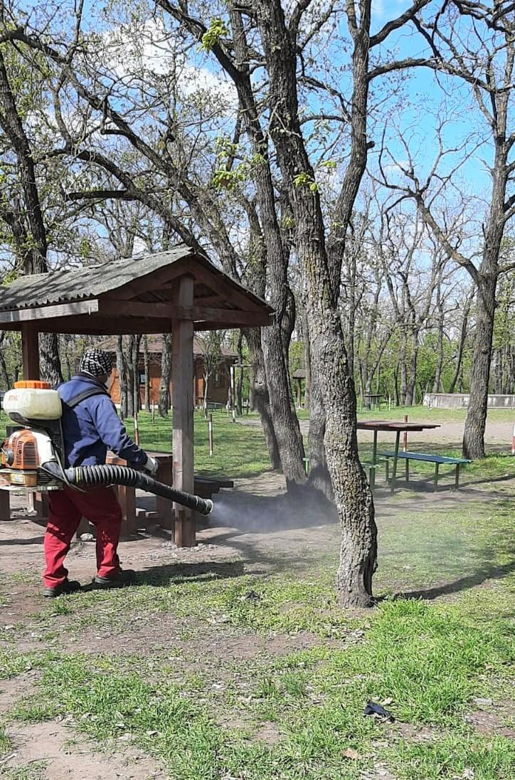 Dezinsecție la Gârboavele și Zătun