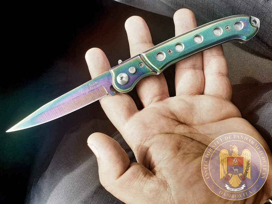 Elevi prinși cu două bricege în curtea unui liceu