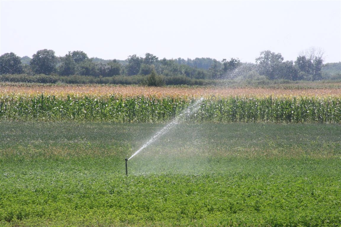 Alte 3.000 de hectare irigate, într-o săptămână 