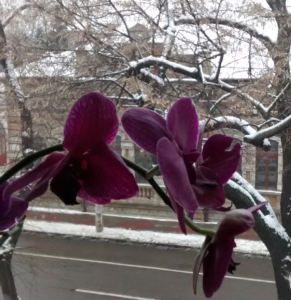 PROGNOZA METEO/ Cum va fi VREMEA la GALAŢI în acest WEEKEND