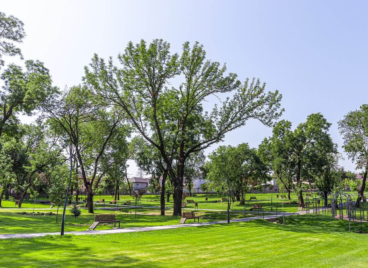 Galaţiul a ratat şansa de a deveni oraş neutru climatic
