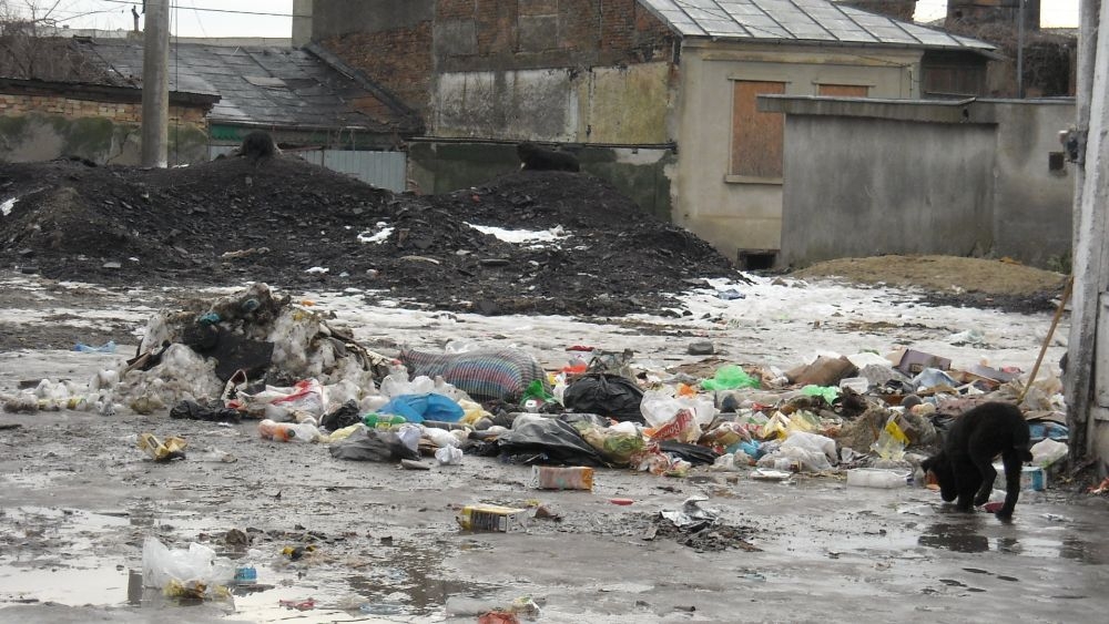 În cartierul din Port, "mizeria e la loc de cinste, iar nesimţirea la ea acasă"
