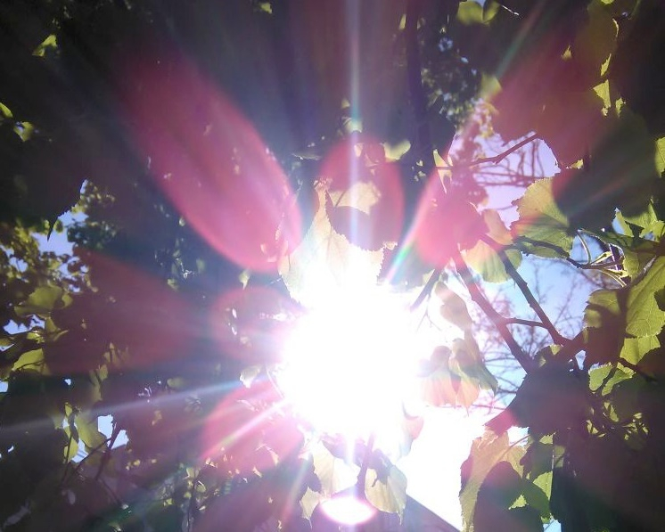 Meteorologii anunță temperaturi de până la 17 grade