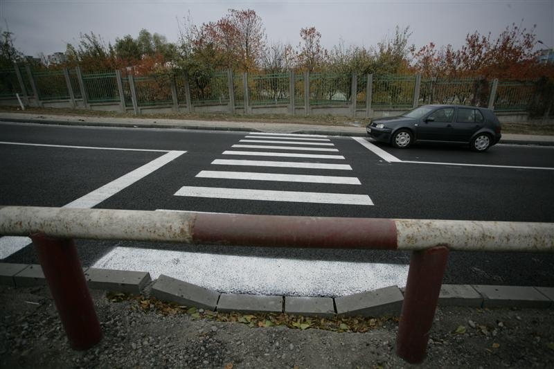 O zebră de râsul curcilor