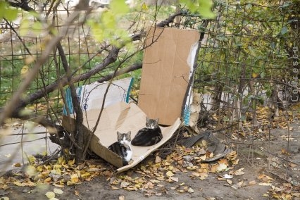 Grădiniţa-fantezie din faţa blocului 