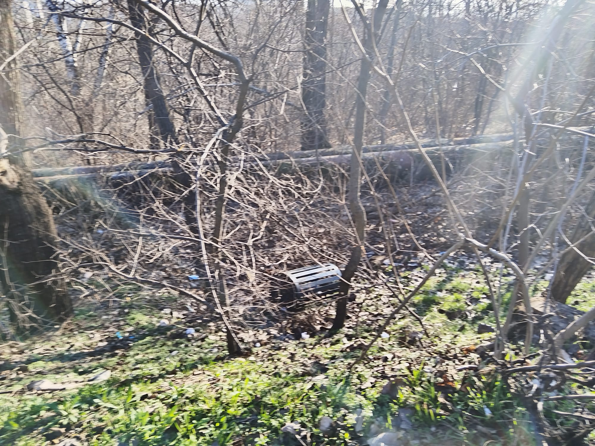 Întâi rup coşurile, pe urmă ne rup nouă capul