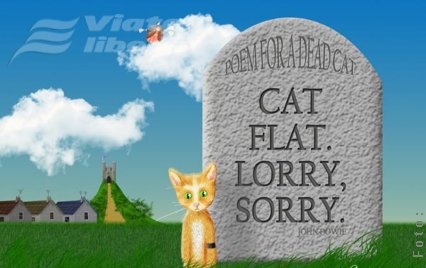 Bezna şi pisica neagră