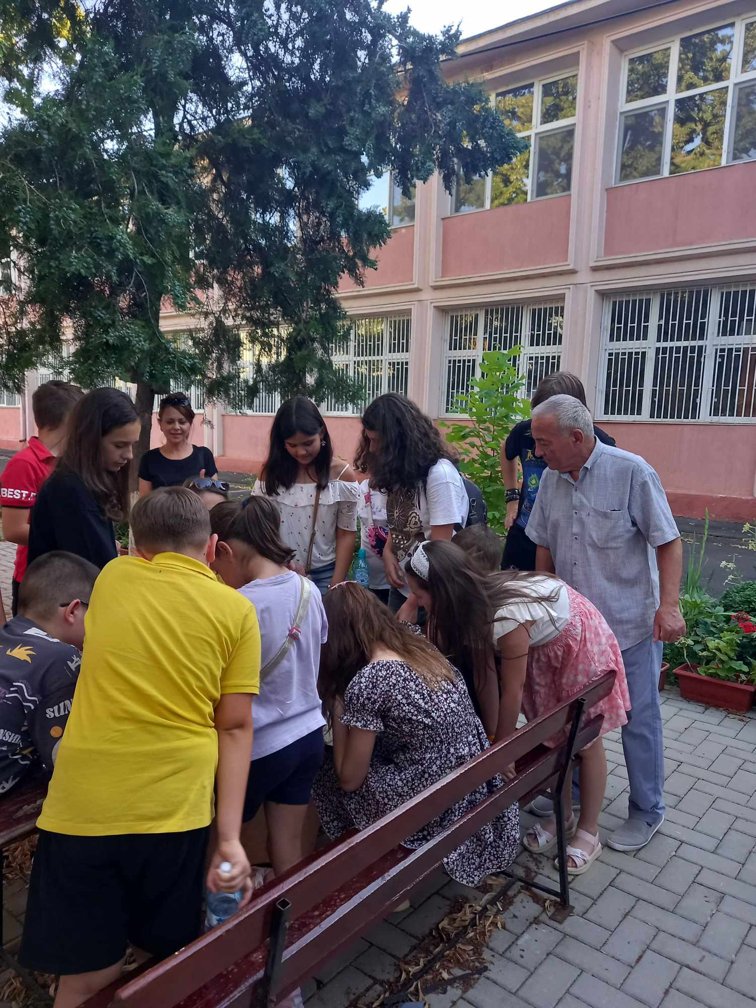 Tortul magic - un joc pentru mici şi mari, marca prof. Corneliu Goldu