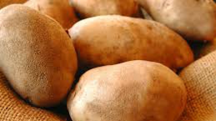 Mare ATENŢIE la ce cumpăraţi! CARTOFII uriaşi din pieţele româneşti sunt TOXICI