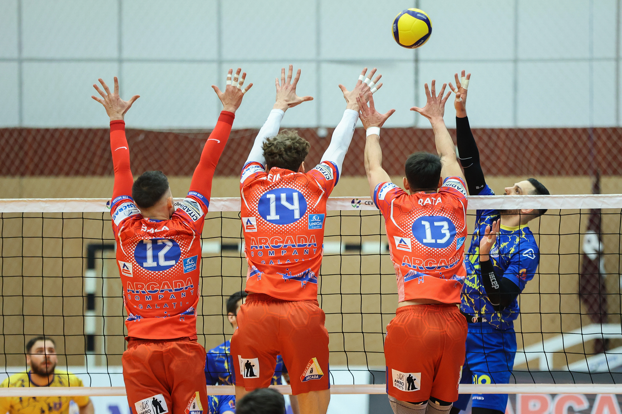 CSM Arcada abordează meciul cu Zalăul numai la victorie