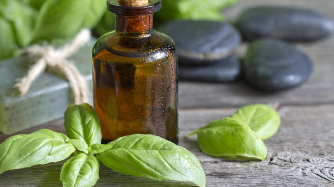 Ceaiul de busuioc, util în caz de răceli