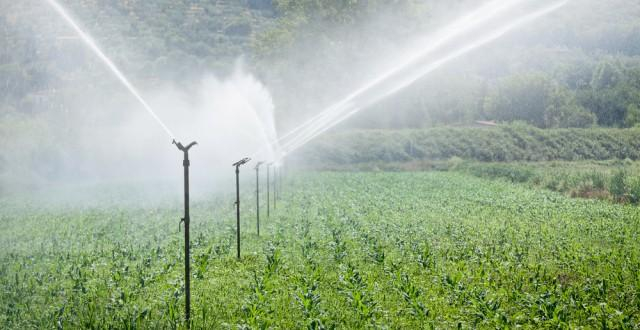 Sesiune de proiecte pe irigaţii