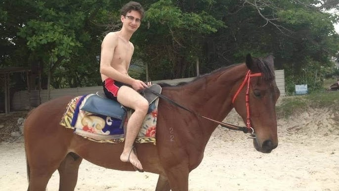 Iulian Viteazul a intrat în Alba Iulia, cu mare poftă