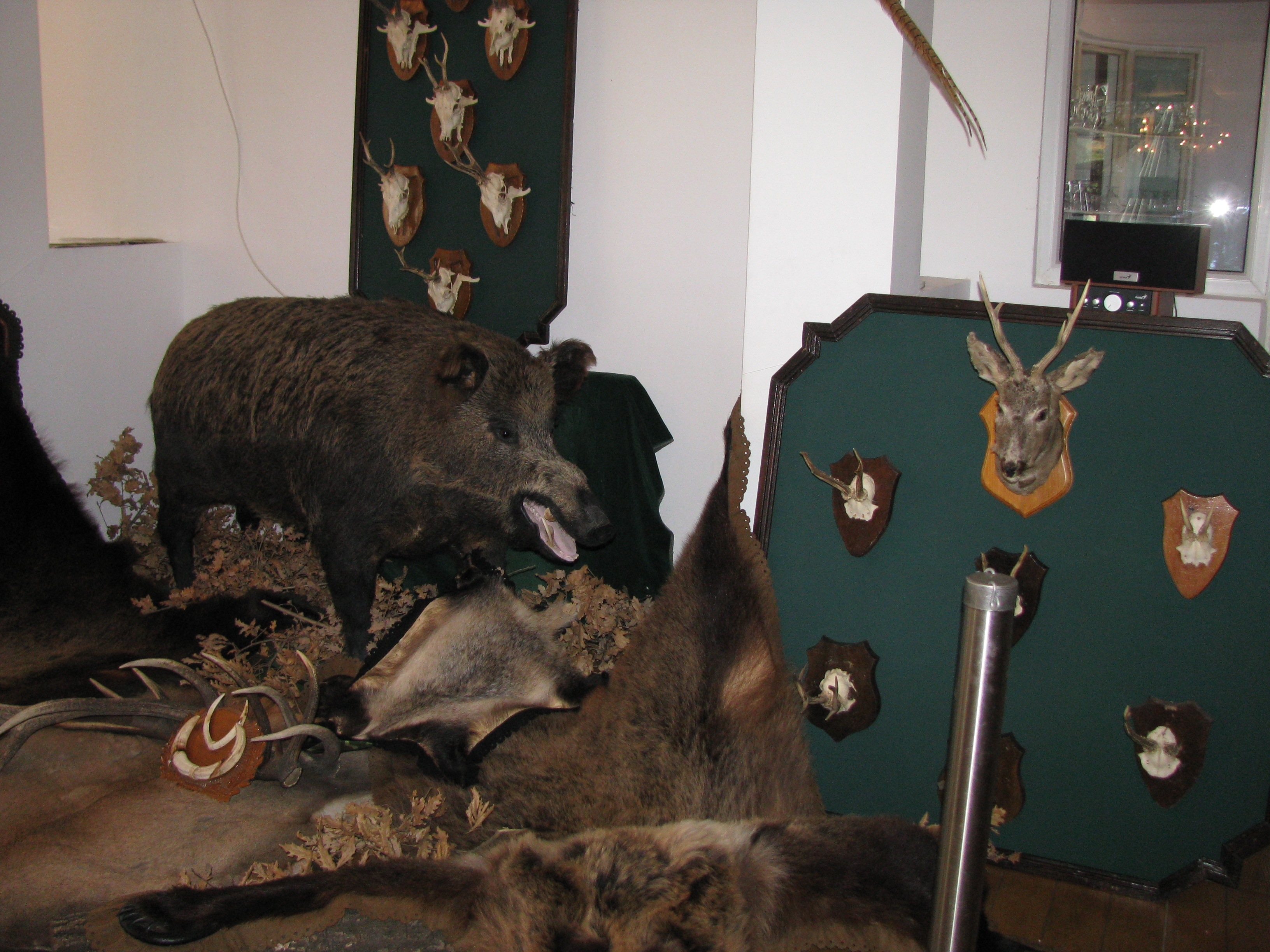 Petrecere cu circuit închis - Bal cu poveşti şi cântece vânătoreşti