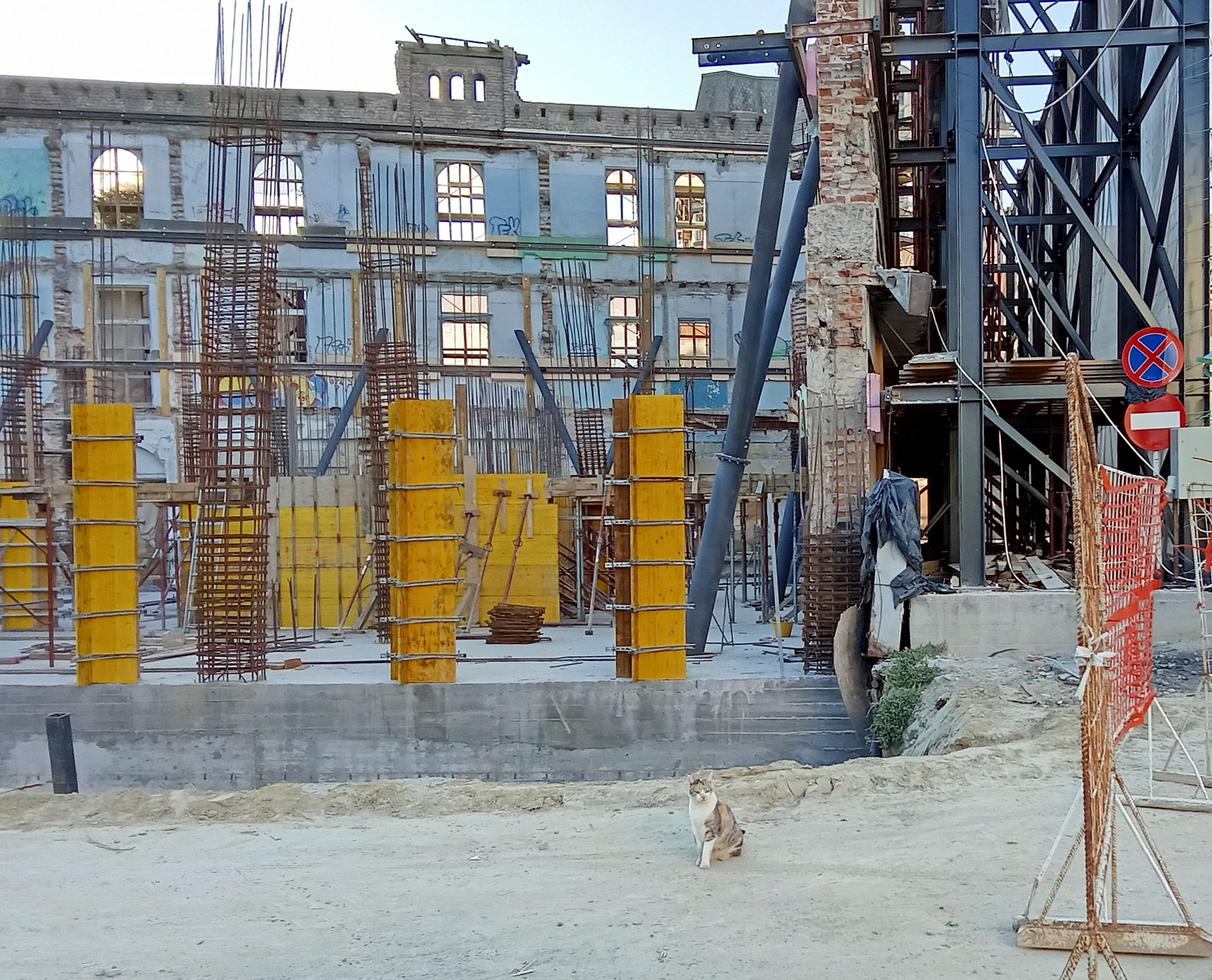 Poza zilei. Cine-i „șefa de șantier” la Palatul „Gheorghiu”