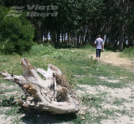 Gălăţenii au stat departe de malul „privatizat” al Dunării