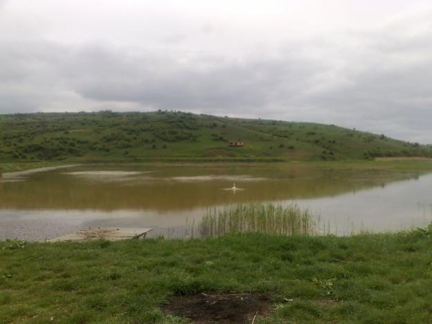 Un bărbat şi-a găsit SFÂRŞITUL într-un iaz de la Maţa Rădeanu