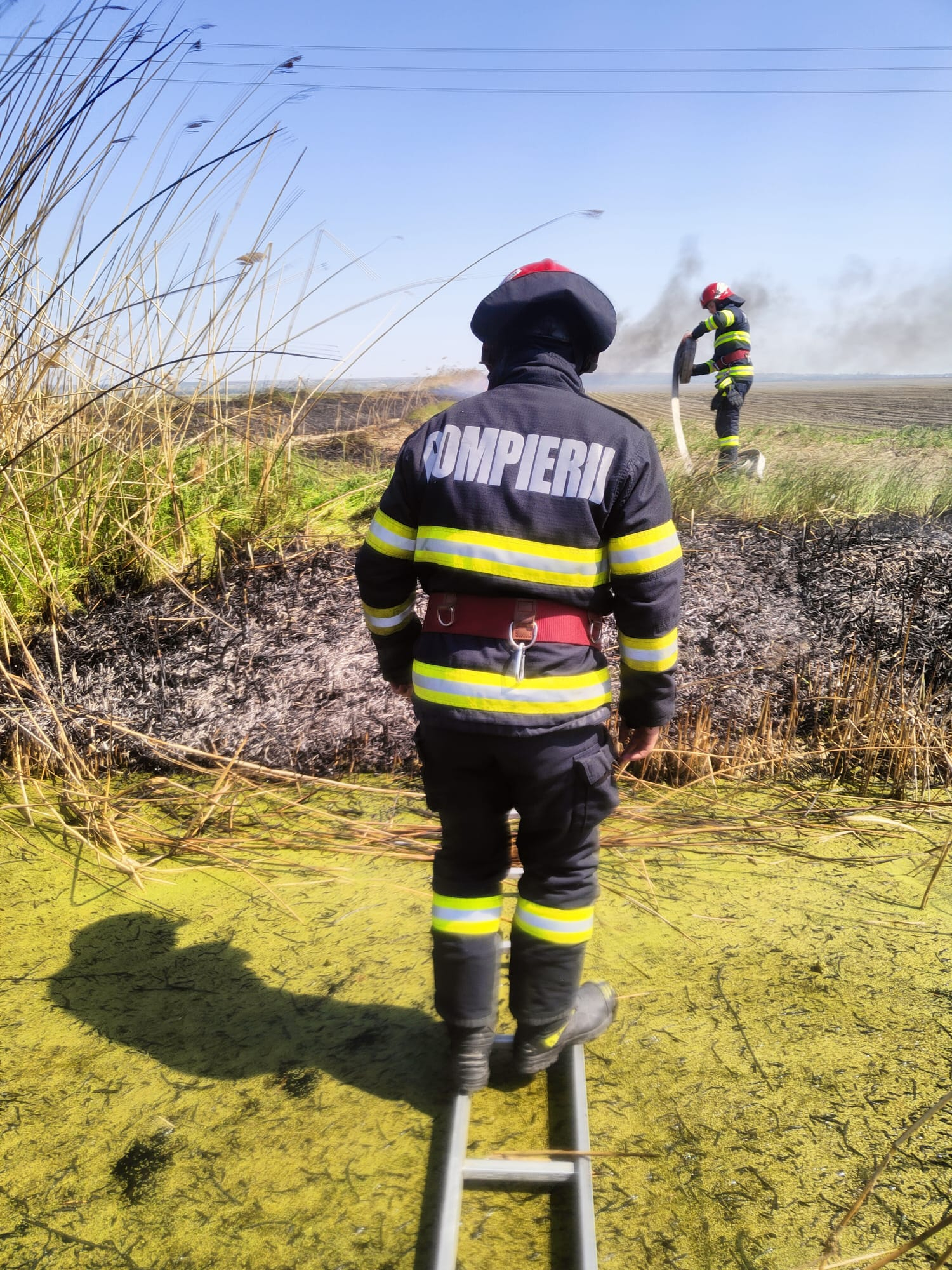 Vegetație mistuită de flăcări lângă Galaţi