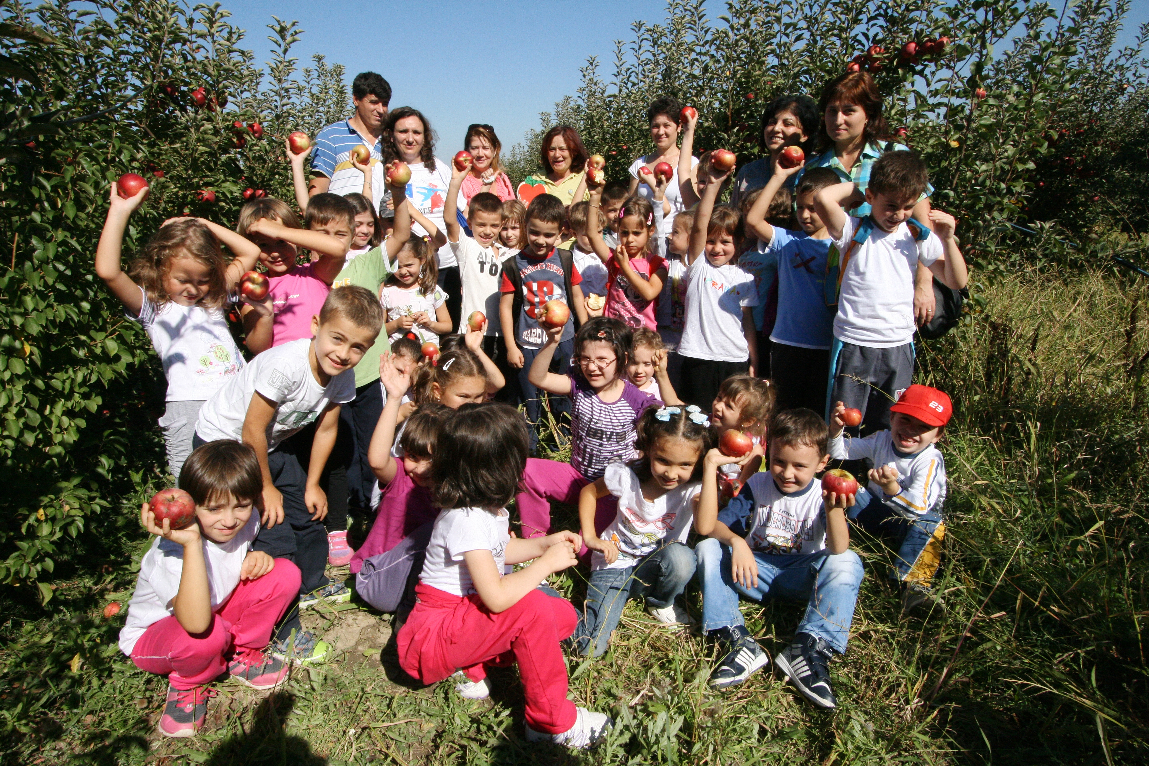 Merele nu cresc la supermarket / Raiul Dragostinei şi piticii de la pregătitoare