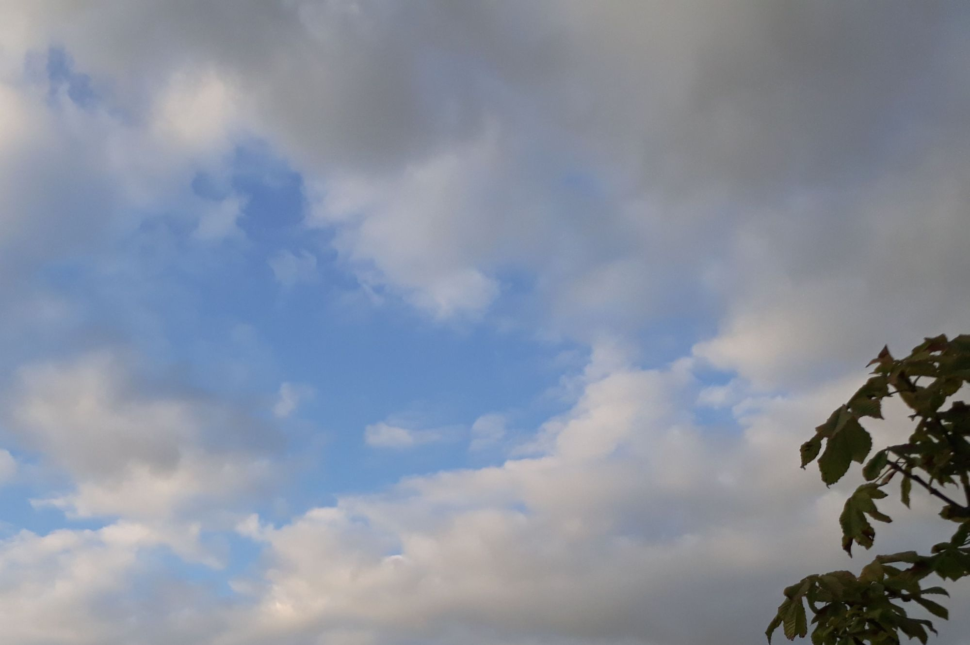 PROGNOZA METEO | Cum va fi vremea, luni, la Galați