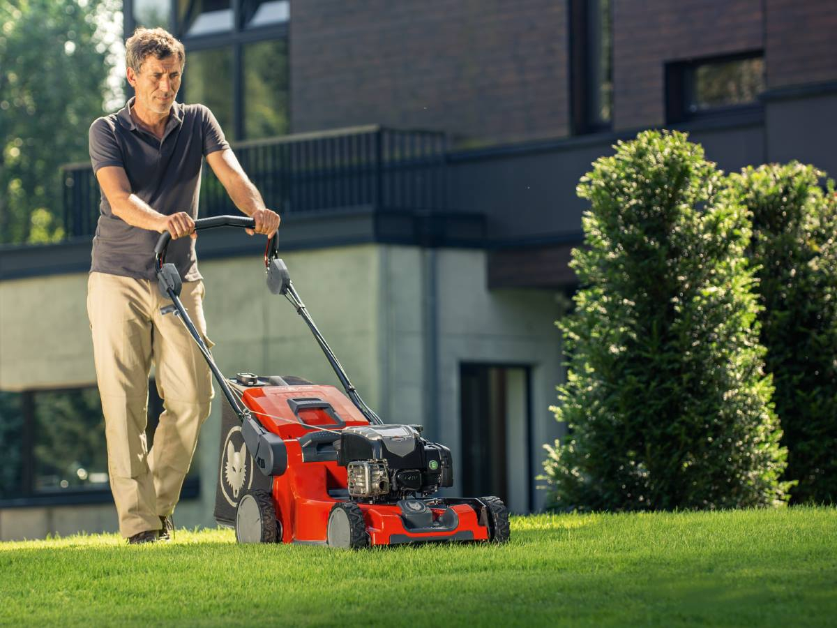 Gazonul este baza grădinii