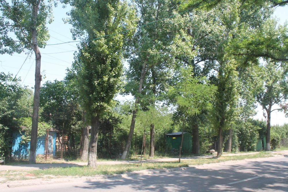 Notificarea chiriaşilor Primăriei care au grădini în Micro 39 merge lent. O singură persoană a fost AMENDATĂ pentru construcţie ilegală