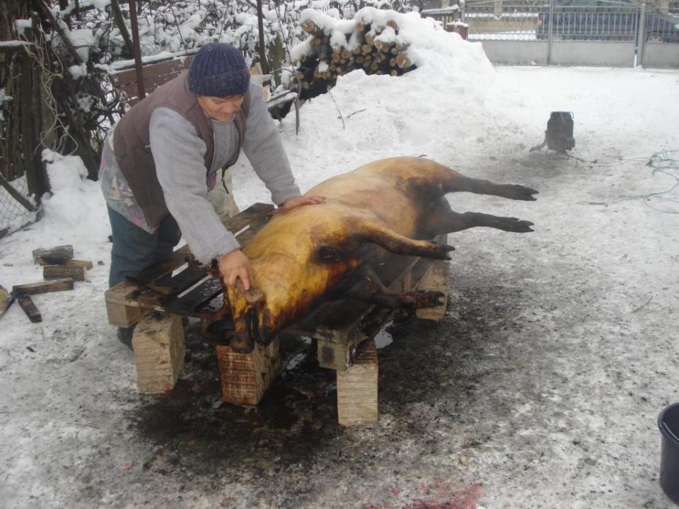Te pregăteşti de tăiat porcul? Află cum să te fereşti de trichineloză