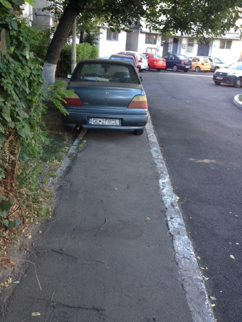 SESIZEAZĂ CITITORII „Vieţii libere”. Alte rable abandonate