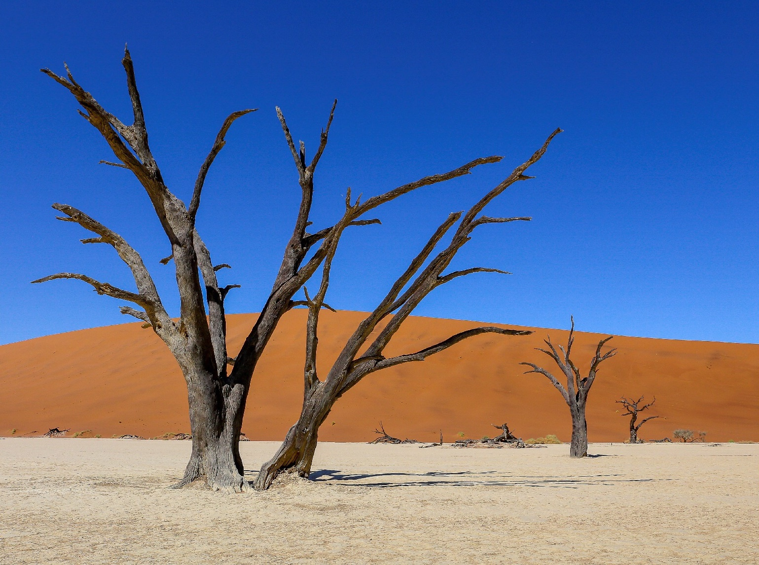 "Am fost la capătul lumii", epoziţie şi lansare de carte