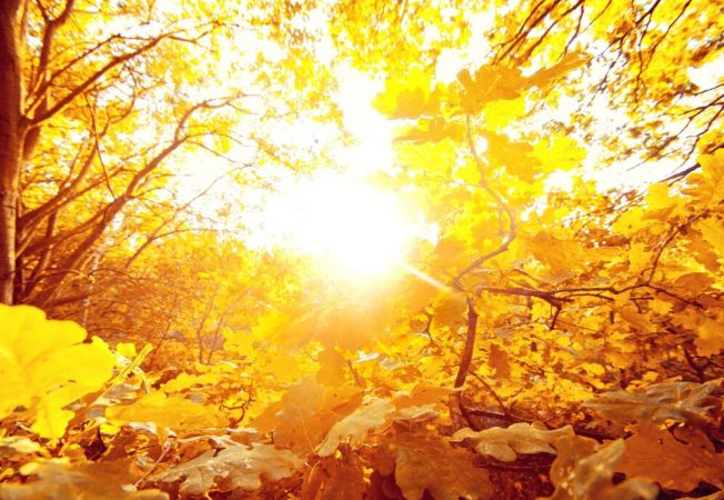 Cum va fi vremea la început de săptămână