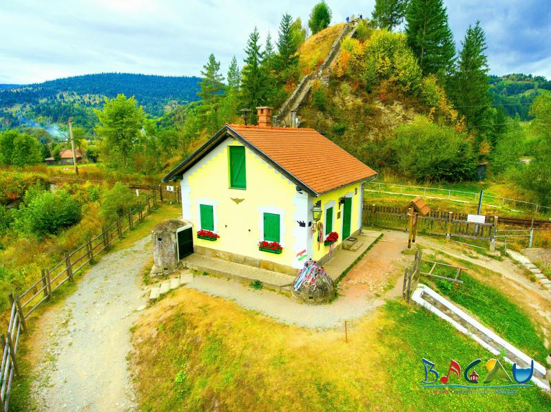 Cetatea Rakoczi și monumentul lui Emil Rebreanu