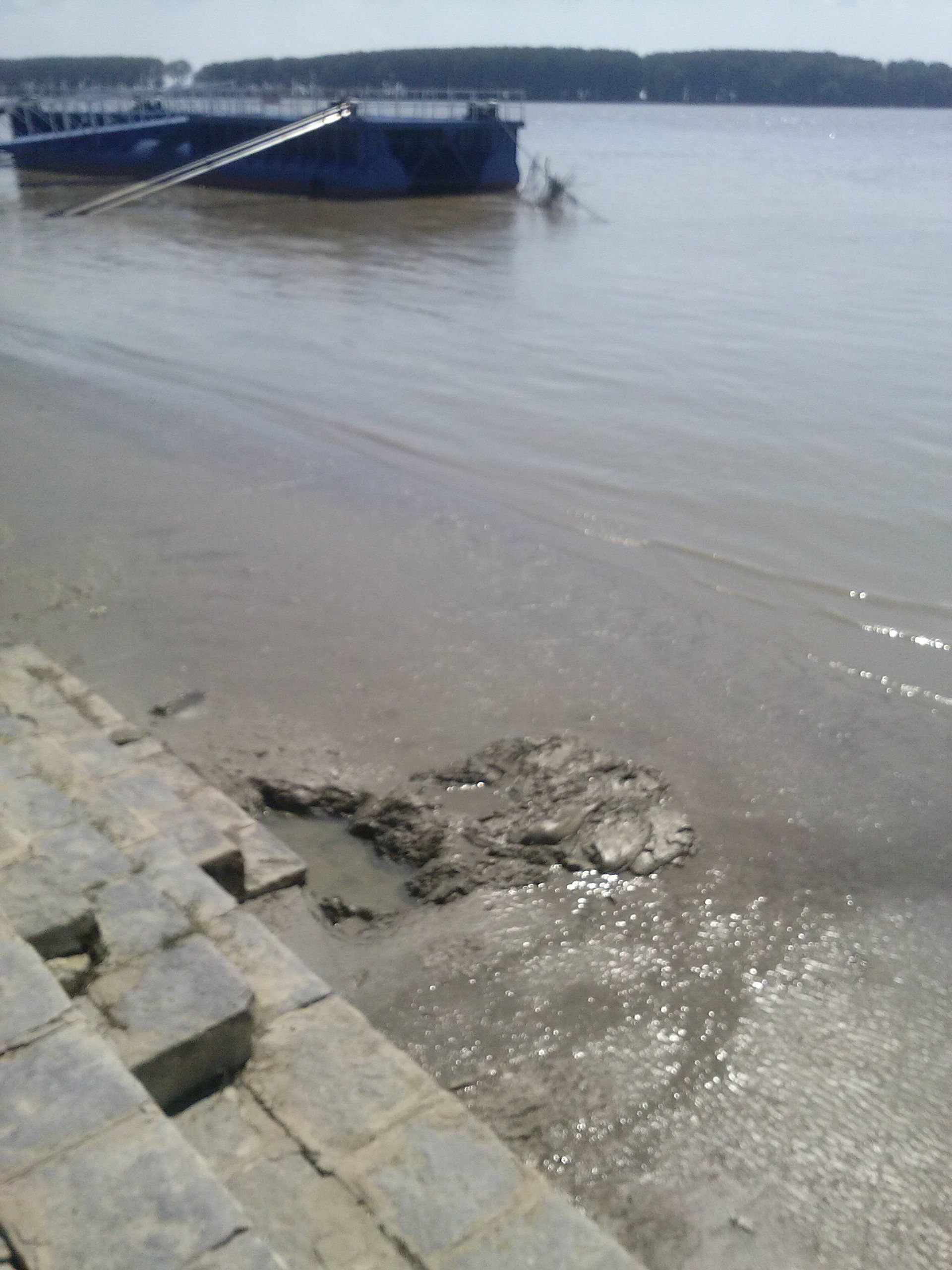 ŢĂRMUL nostru s-a LĂŢIT/ DUNĂREA a lăsat mâl pe mal