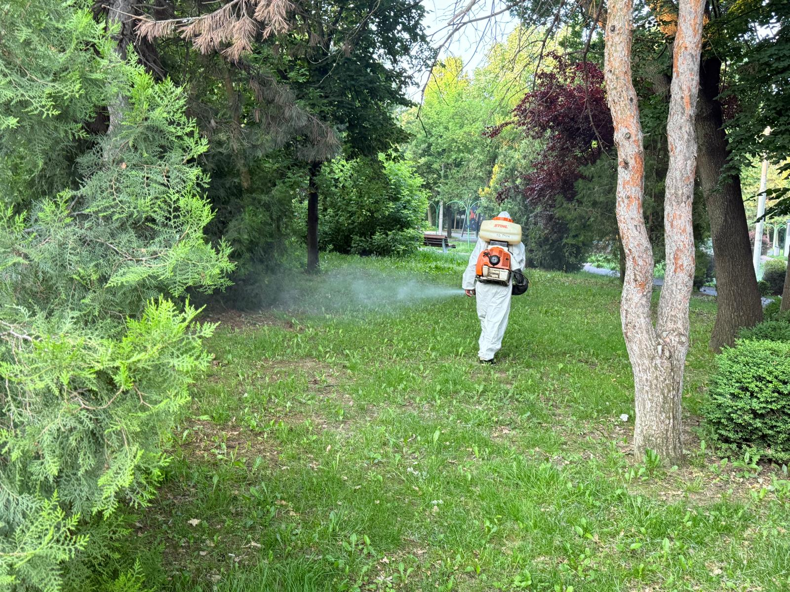 Dezinsecţie la sol în municipiul Galați, din 10 iunie