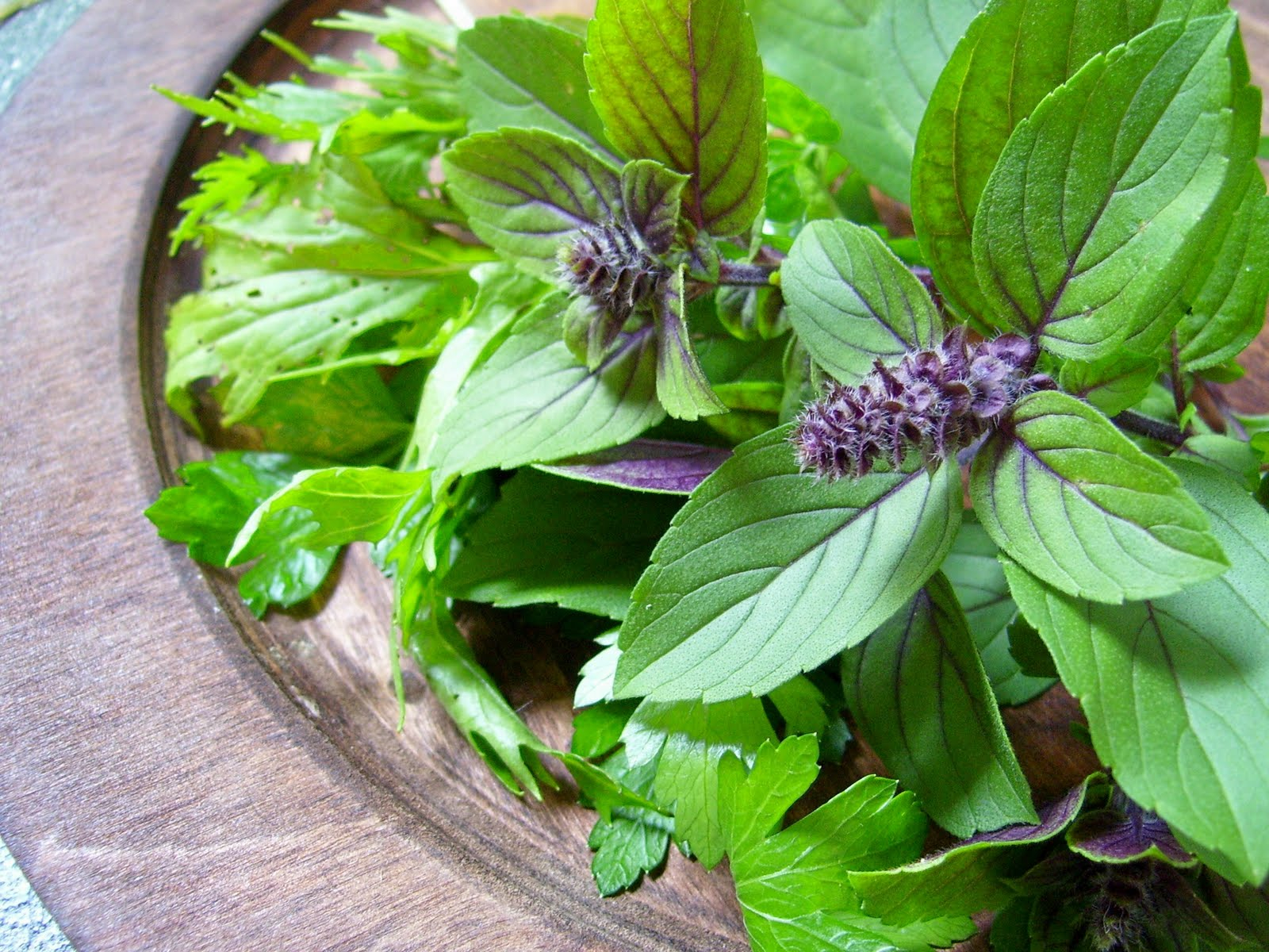 Busuiocul luptă cu virusurile şi alină durerile