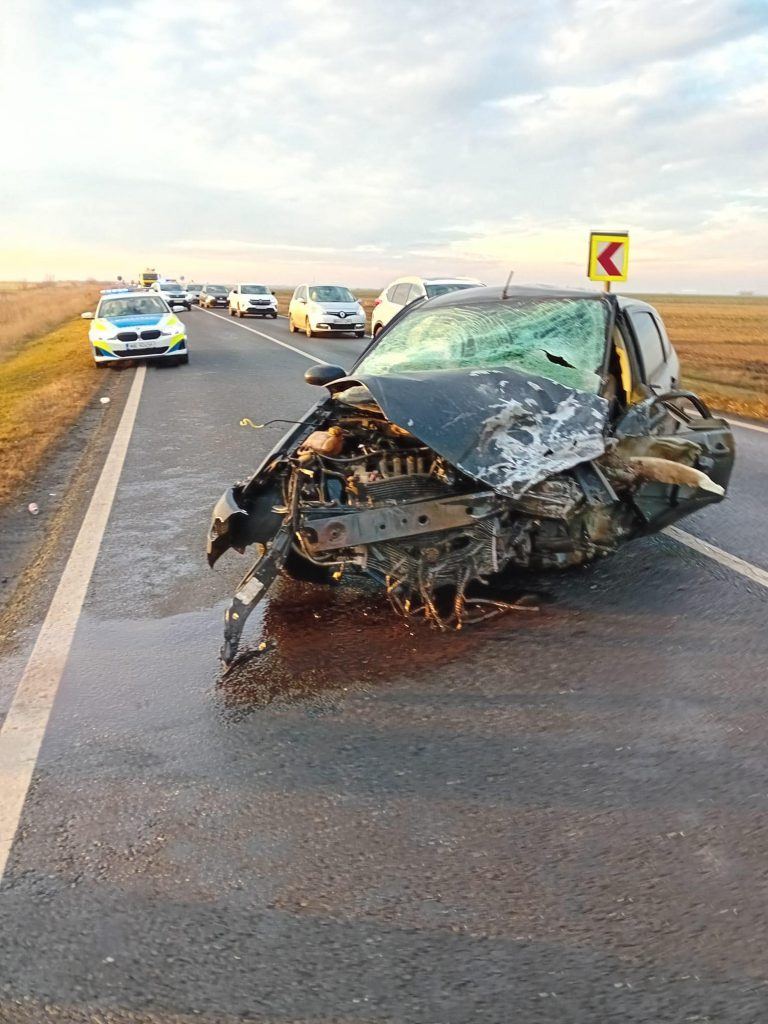 Accident mortal pe DE 584