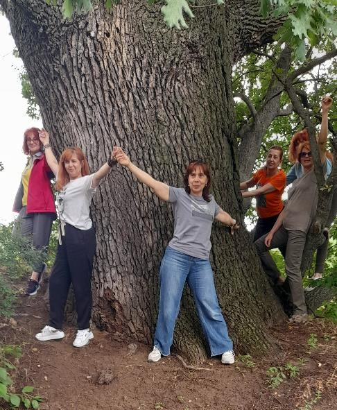 Cel mai bătrân stejar din județul Galați