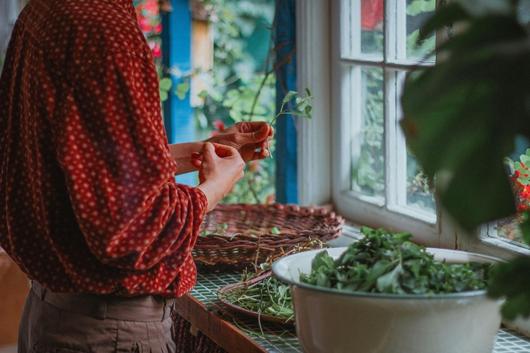 Puterea vindecătoare a plantelor din grădina ta