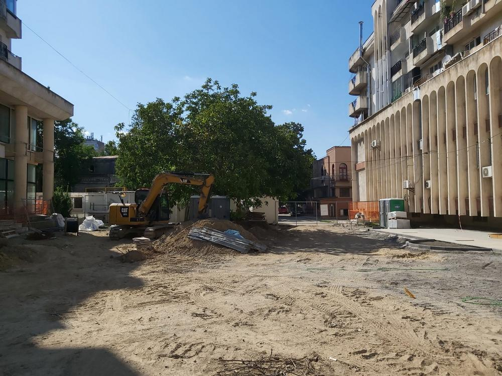 Olimpiada tăierii alandala a copacilor continuă la Galaţi (FOTO)