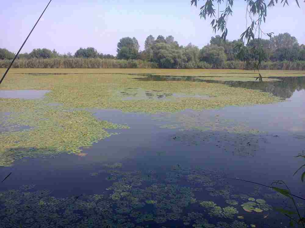 VESTE BUNĂ! Iată când se va deschide baza de agrement ZĂTUN