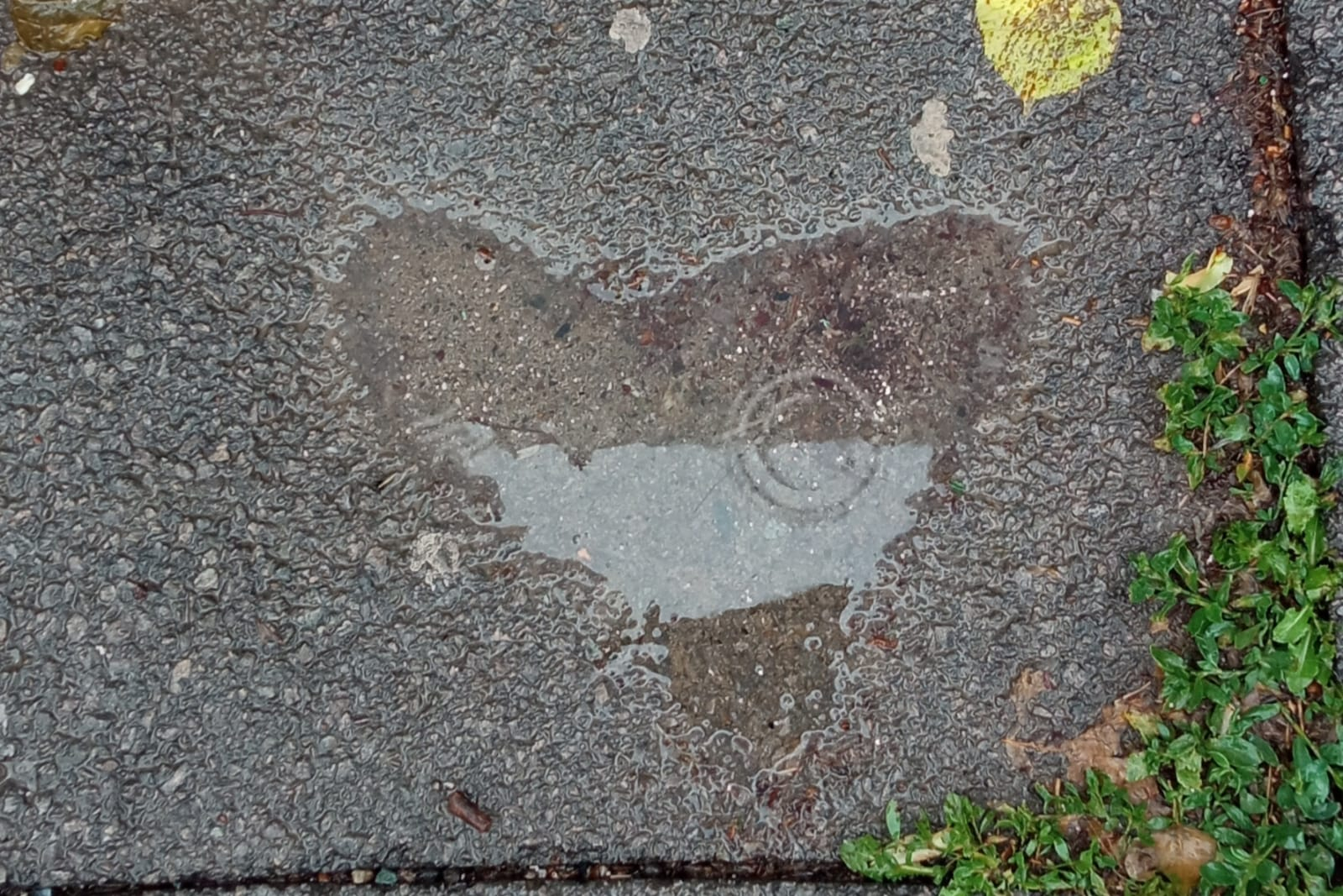 Poza zilei. Cu dragoste, ploaia!