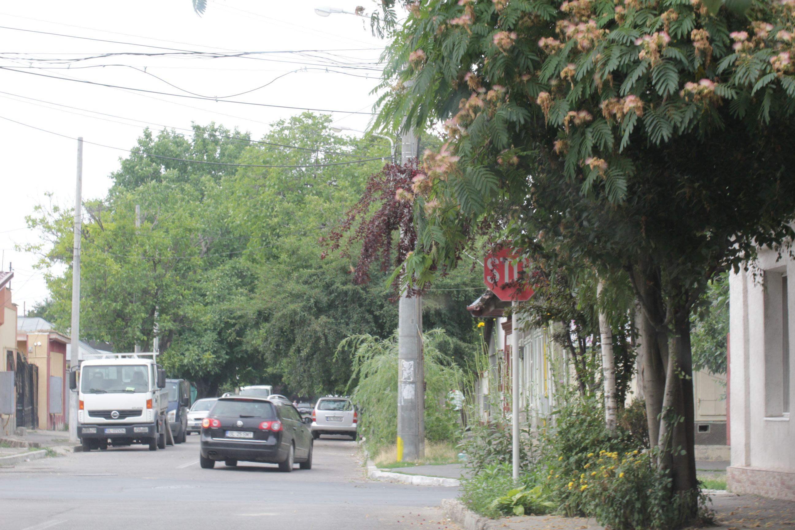 Siguranţa rutieră, prioritate zero! (FOTO)