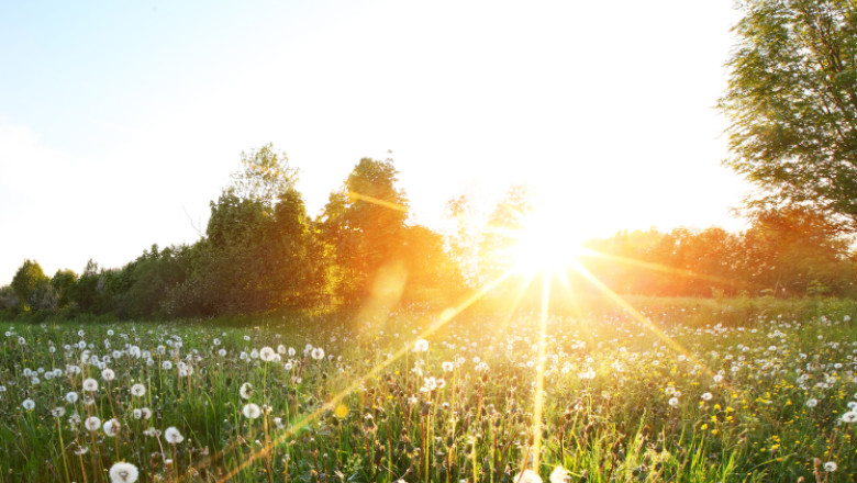 Vreme neobișnuit de caldă și ploi, în următoarele zile