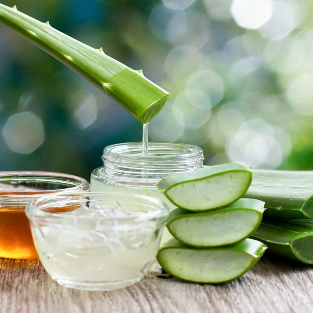 Aloe Vera, farmacia verde din ghiveciul casei