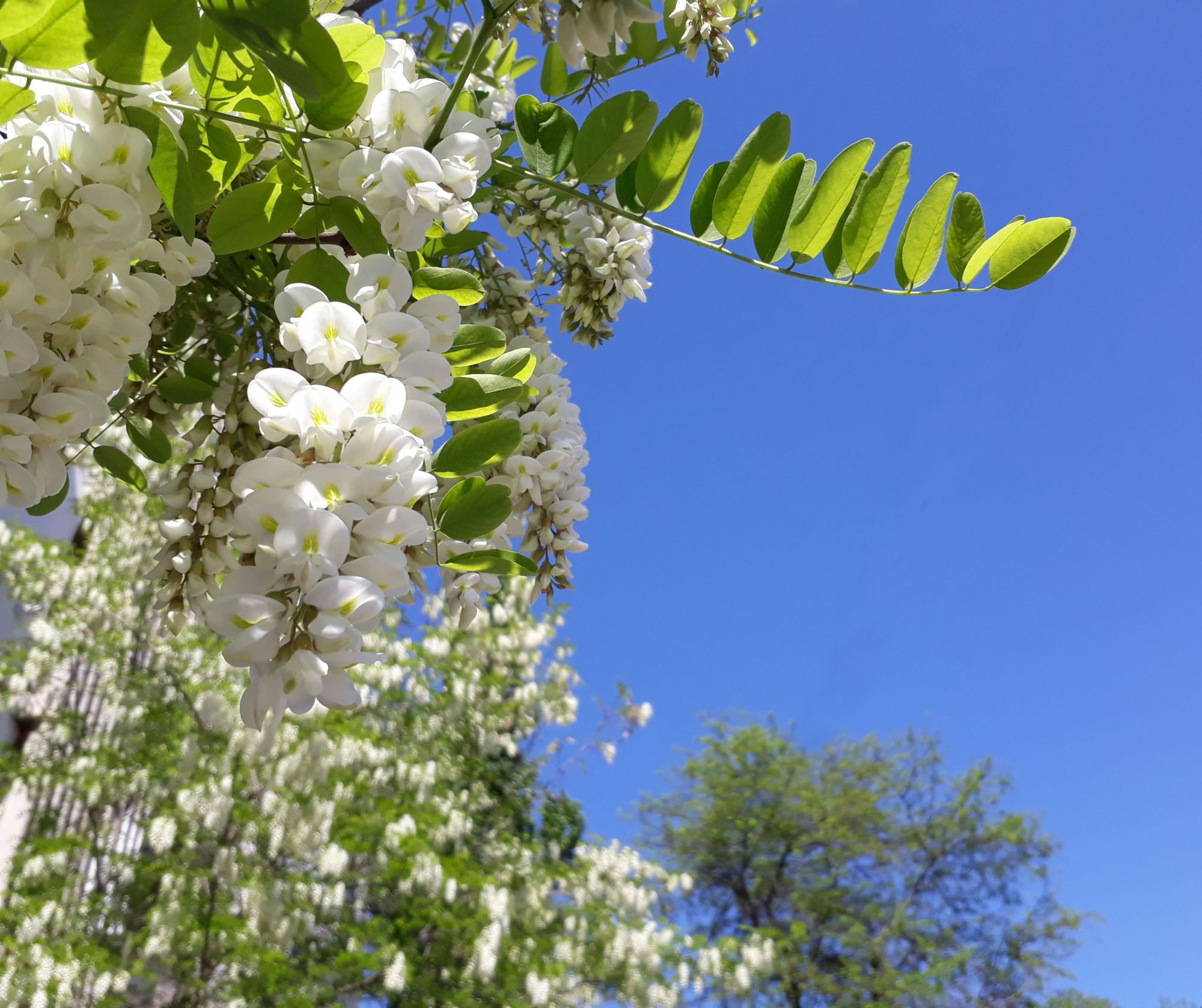 PROGNOZA METEO | Cum va fi vremea, joi, la Galați